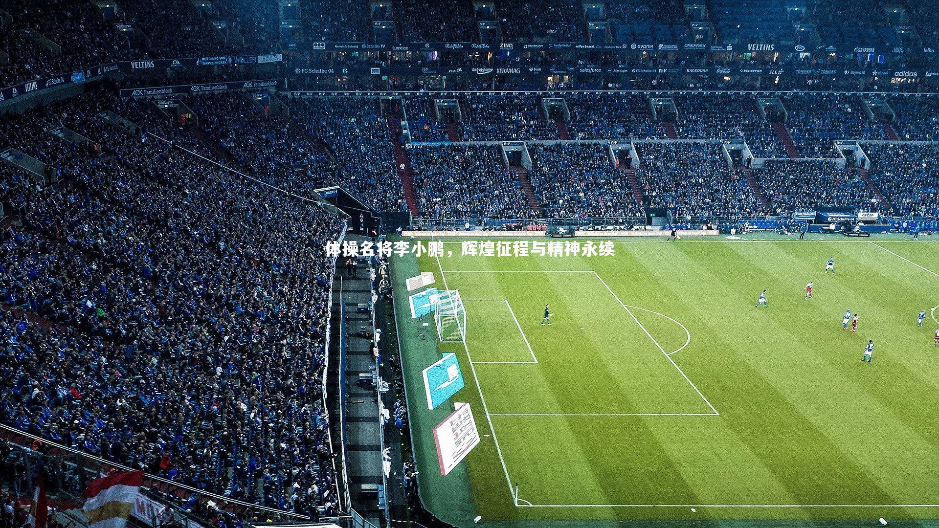 皇冠体育官网_体操名将李小鹏，辉煌征程与精神永续